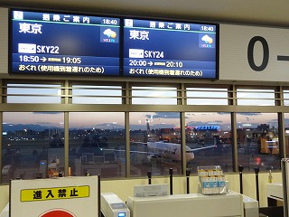 空港 ターミナル 羽田 スカイマーク